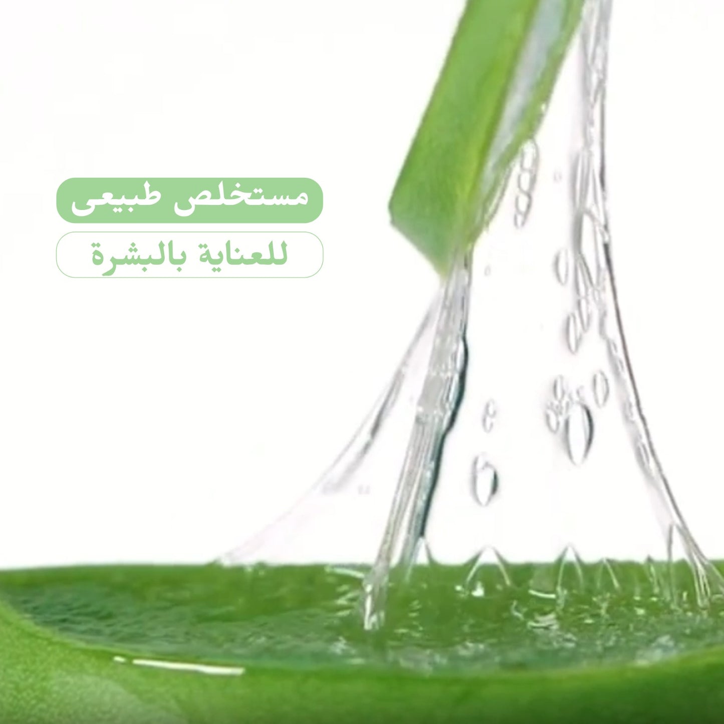 Aloe Vera Moisturizing Gel