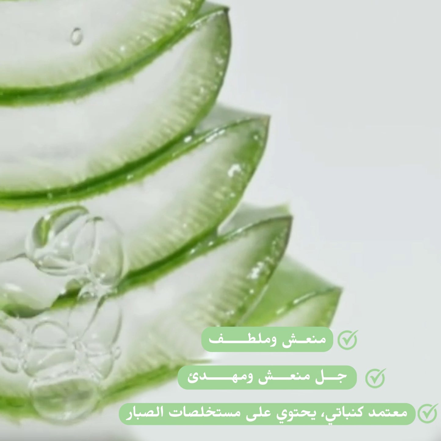 Aloe Vera Moisturizing Gel